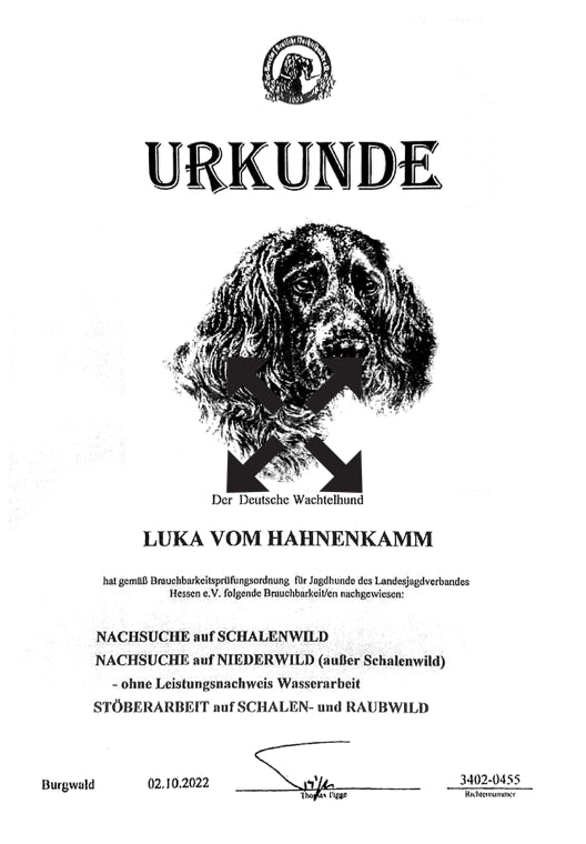 Urkunde Luka